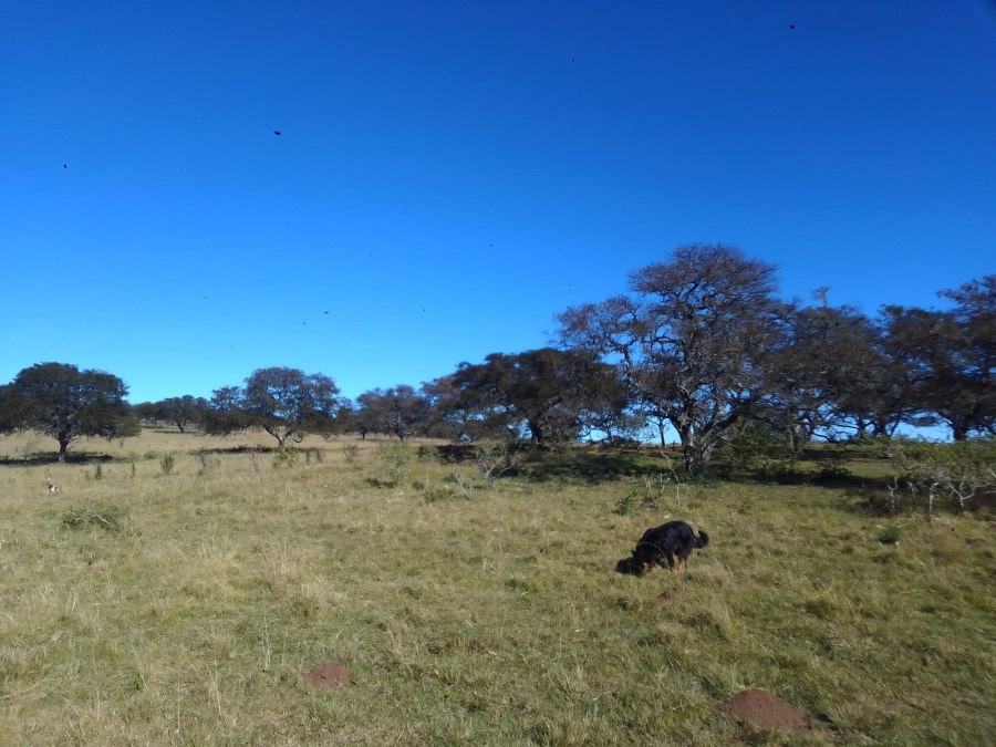 0 Bedroom Property for Sale in Stutterheim Rural Eastern Cape